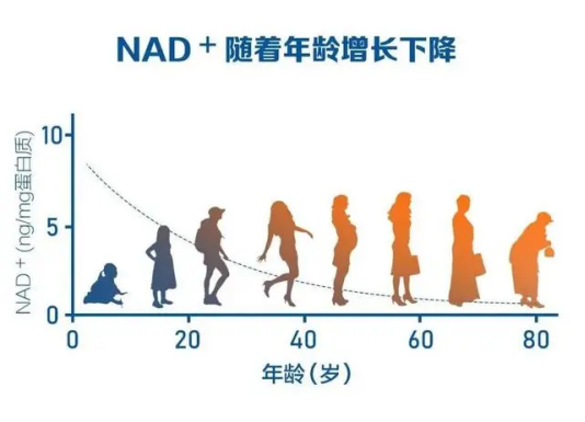 瑞维拓