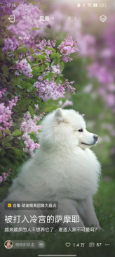 乐划锁屏新升级：动态光影与早安暖意，让每一次点亮充满惊喜